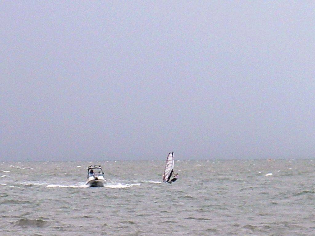 Waterloo cup (18)