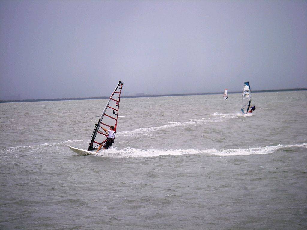 Waterloo cup (20)