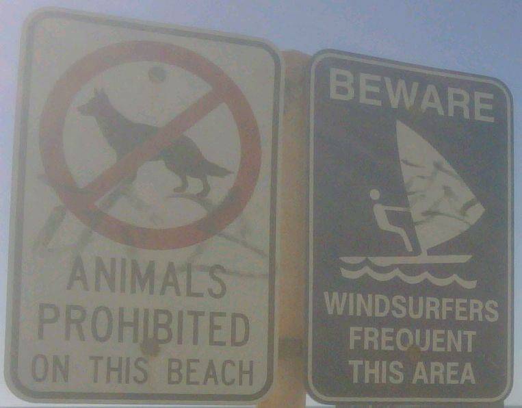 watermans signs