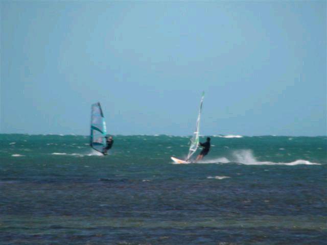 DSC02258 (Small)