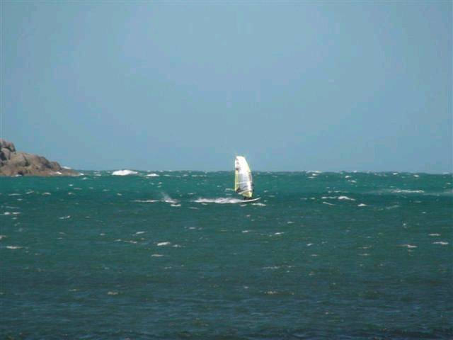 DSC02265 (Small)