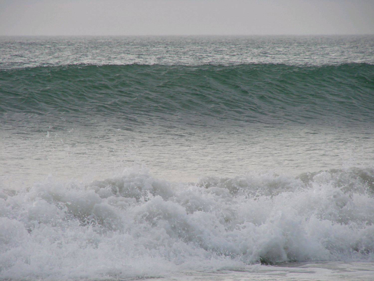Light Wind wave sailing