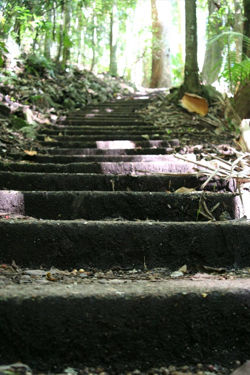 Dimwell Stair