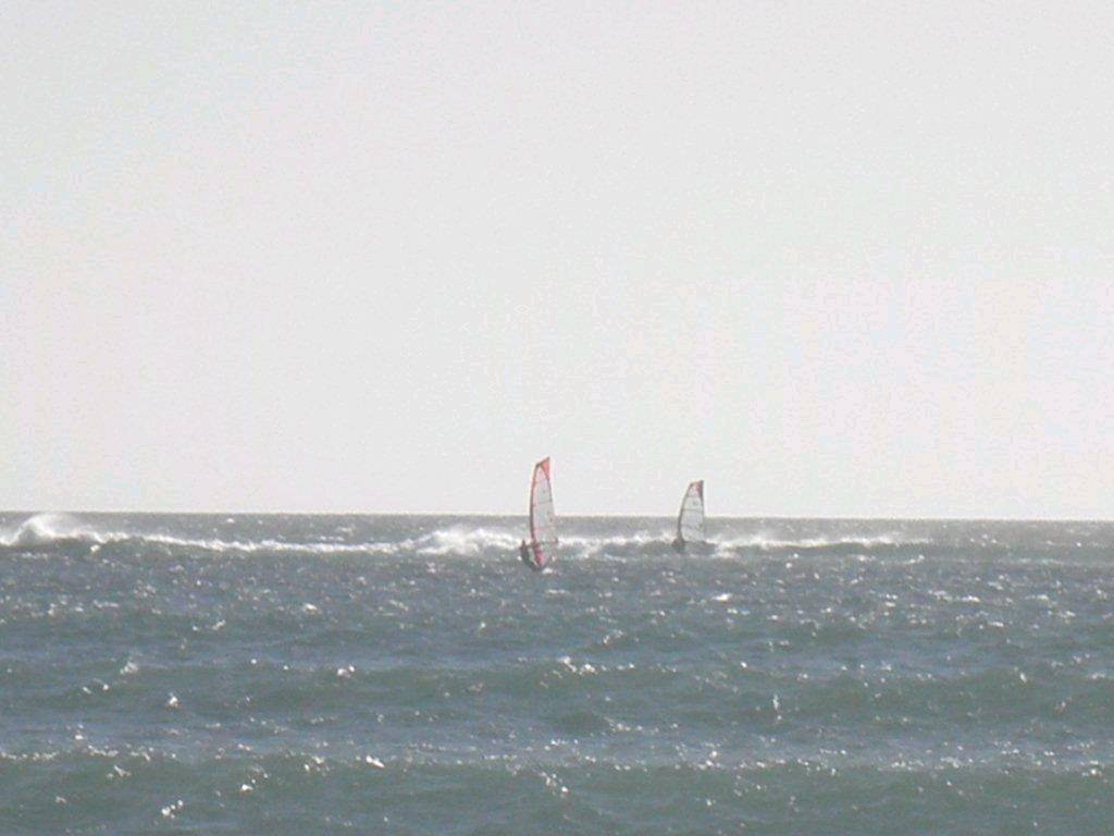 Late season Sail