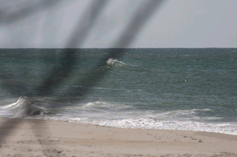 WindWanderers Meet