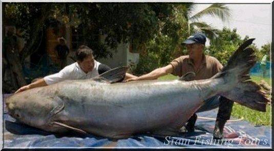 Damo and I caught this at Dorans last weekend