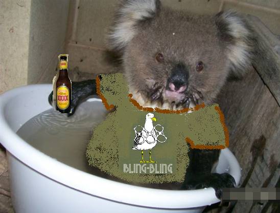 caption comp 1