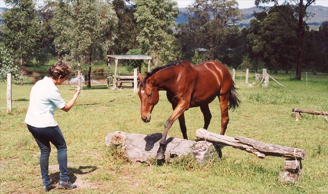Come on straddle this log.. Good boy!
