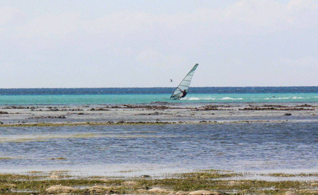 green island speed week day 4
