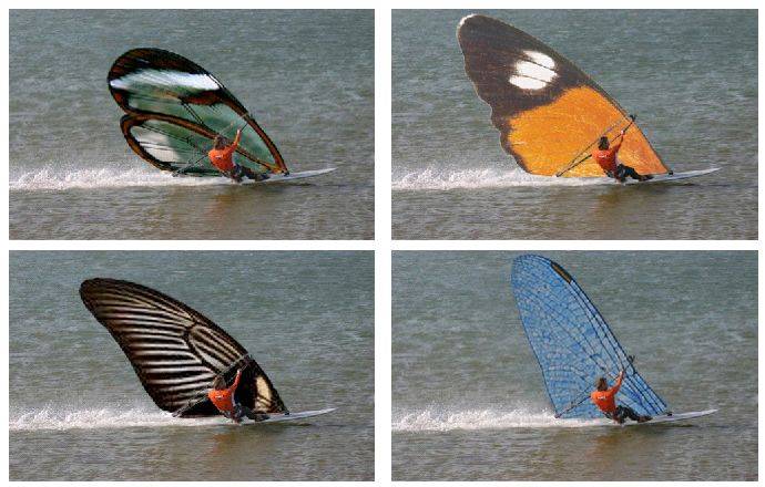 windyflys