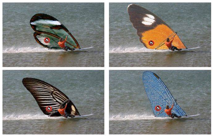windyflys