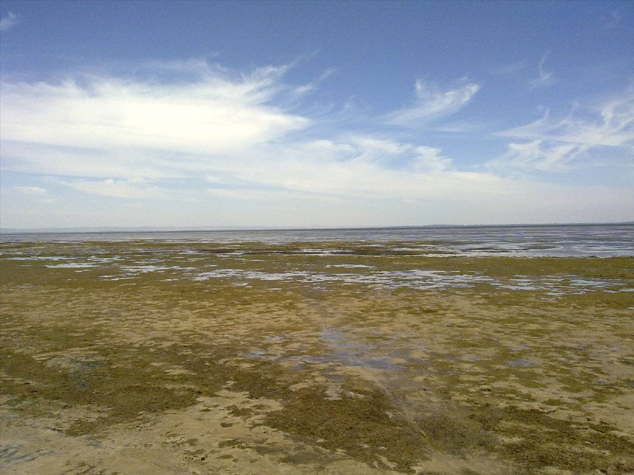 Limestone Reef