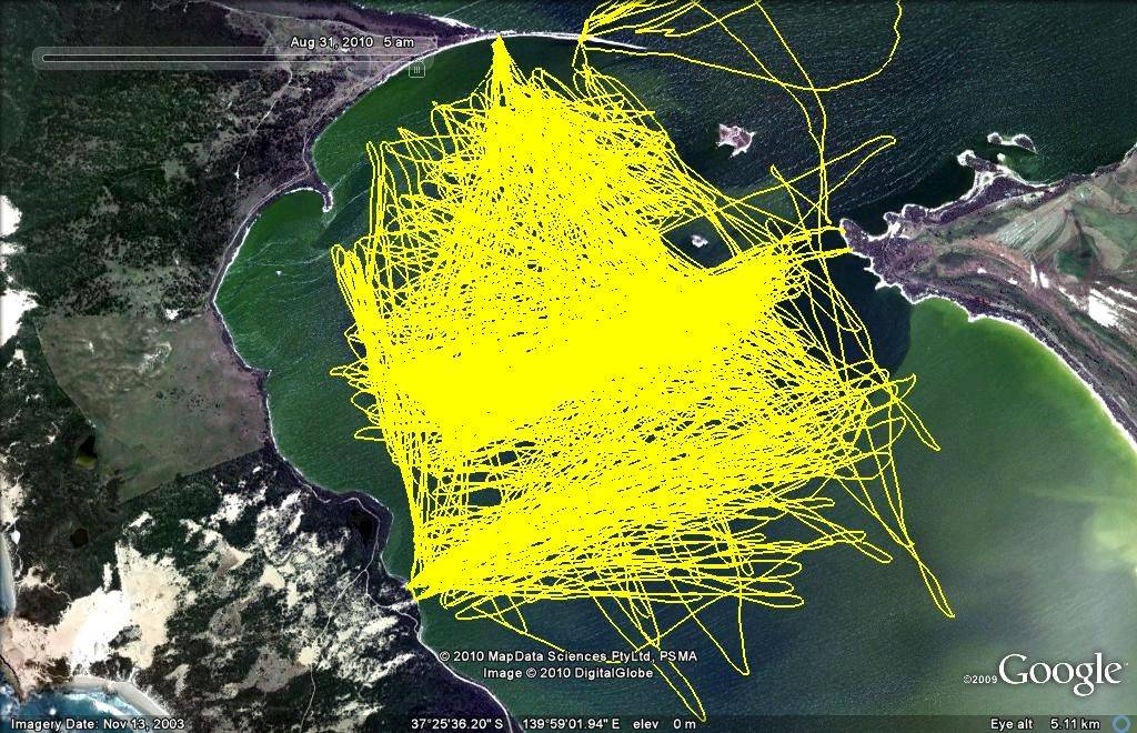 Lake George tracks this year.