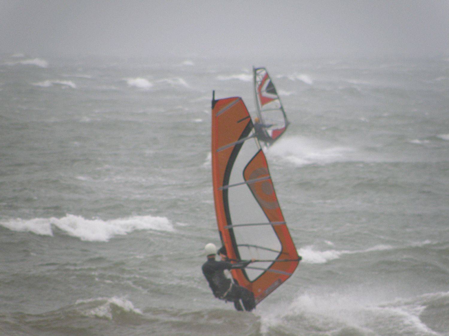 seacliff 4/9/10