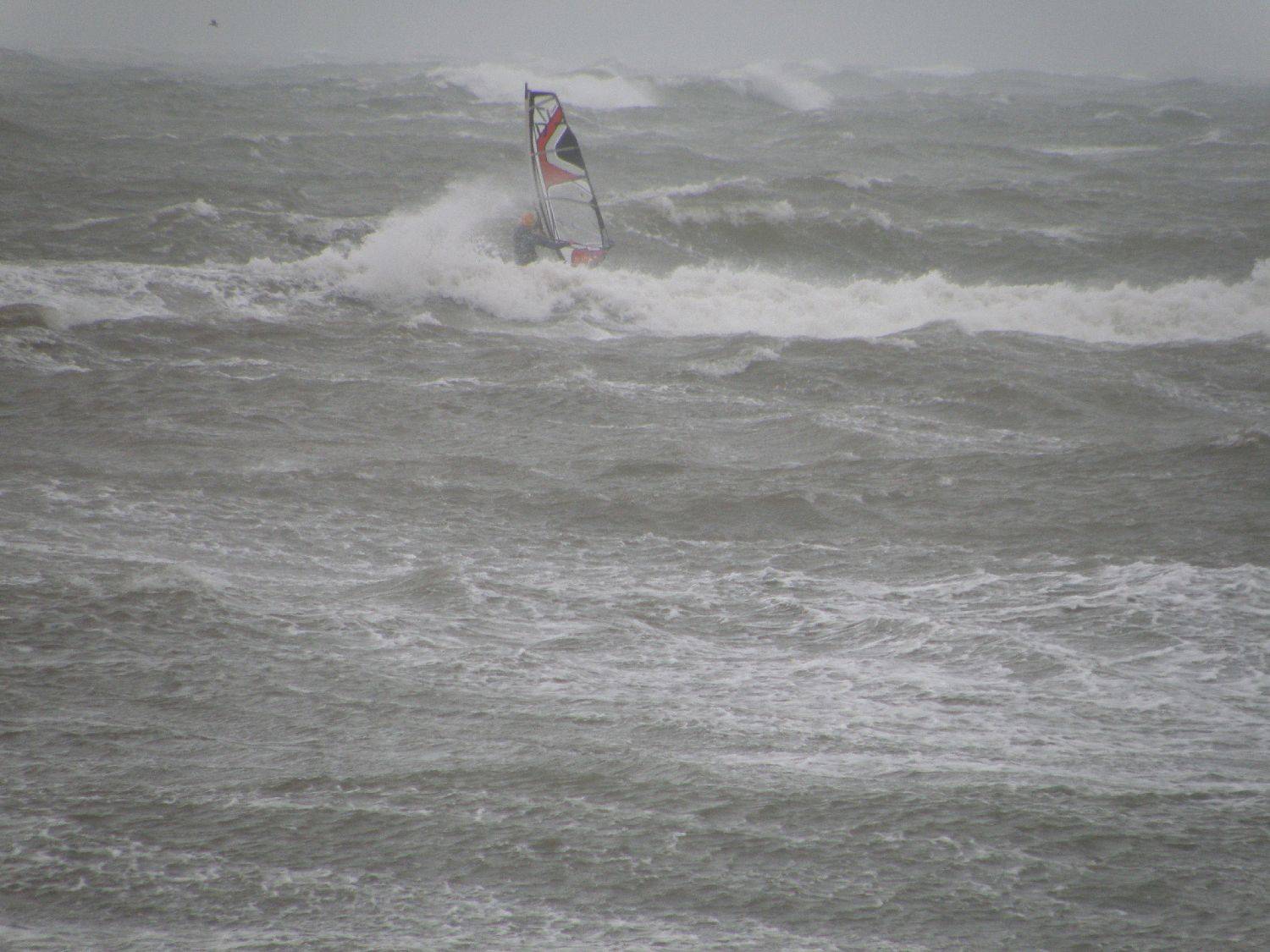 seacliff 4/9/10