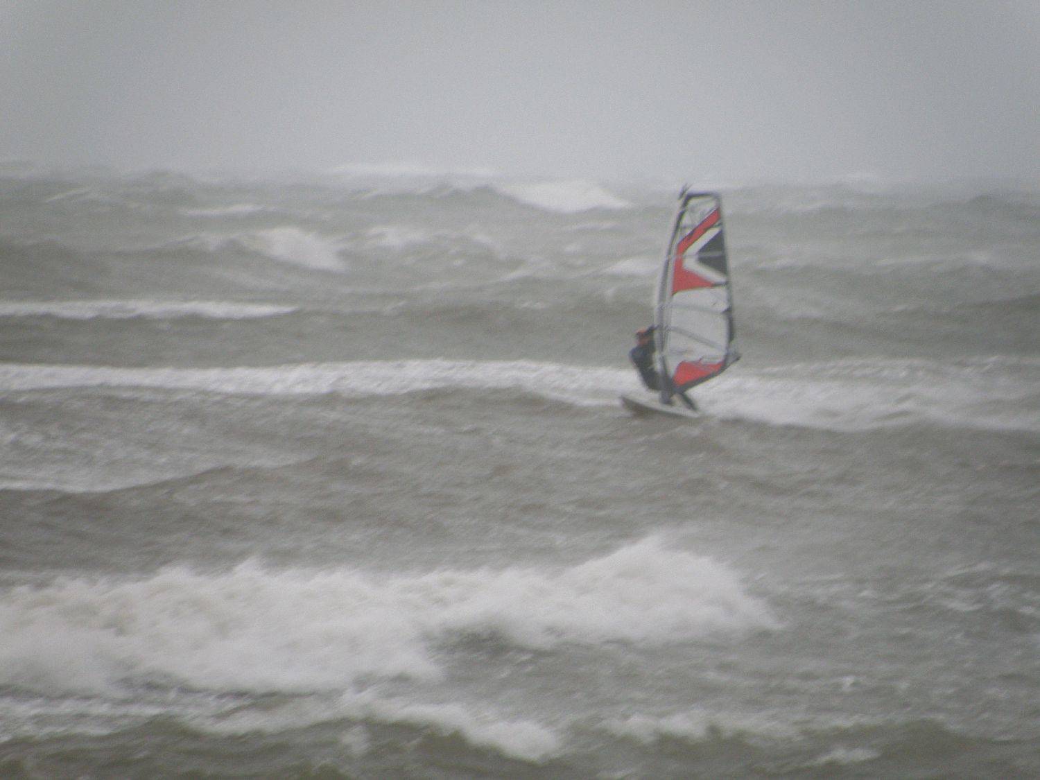 seacliff 4/9/10