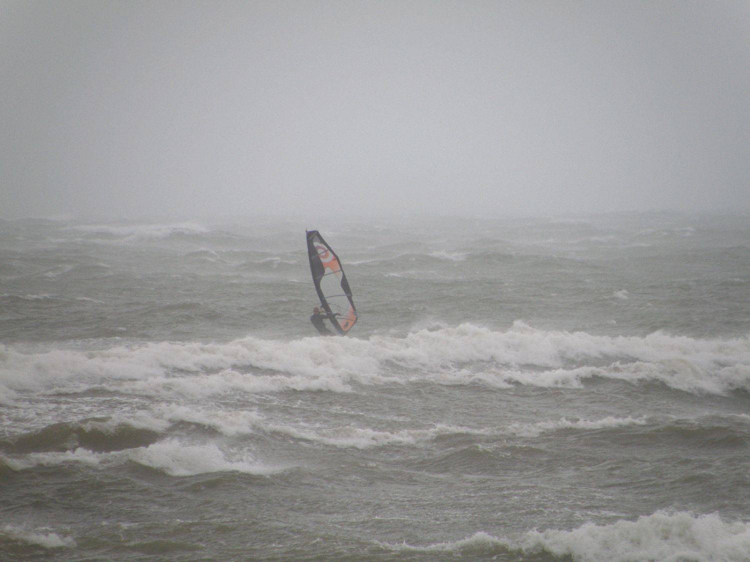 seacliff 4/9/10