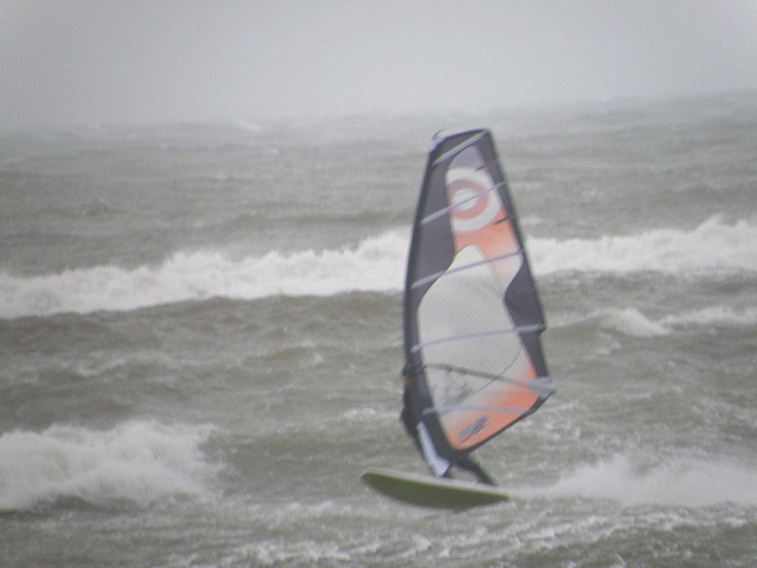 seacliff 4/9/10