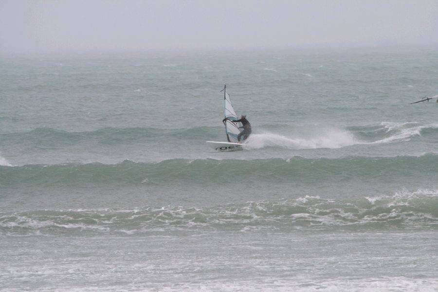 Berts photos