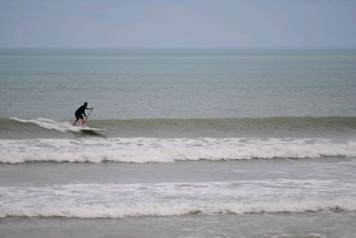 The wind didn't arrive but small wave SUPn was fun