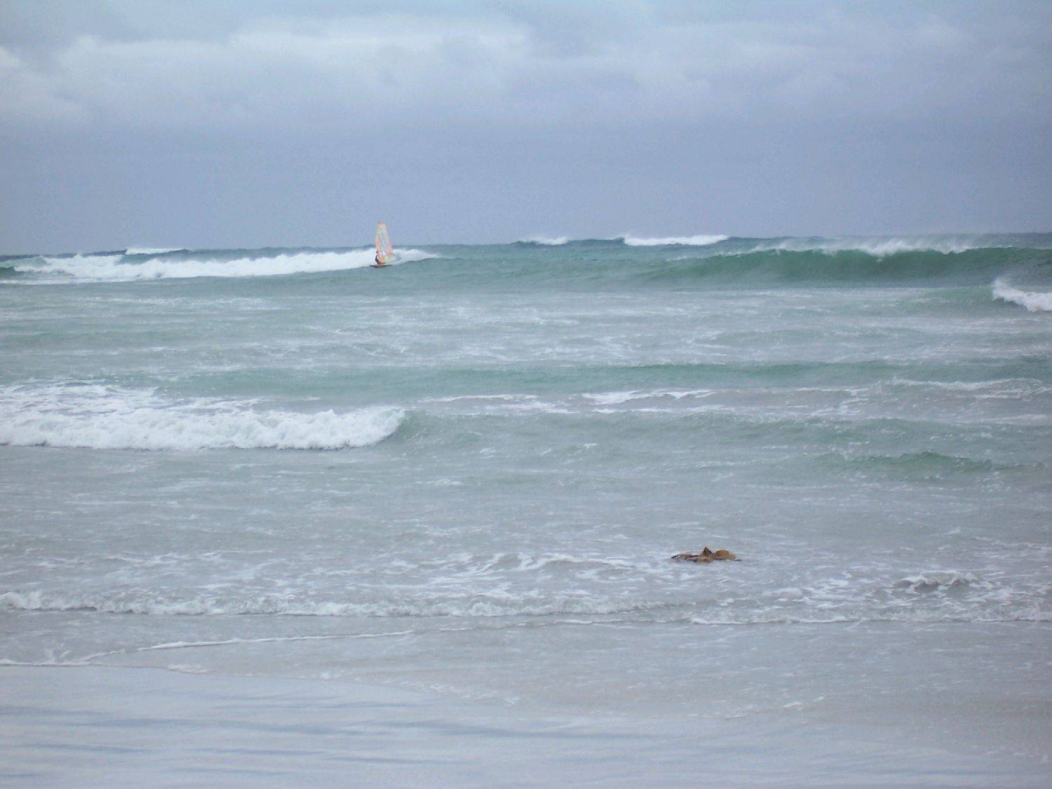 end of a long one, shorey heaving