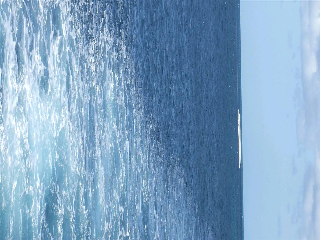 Dec 4th boat trip