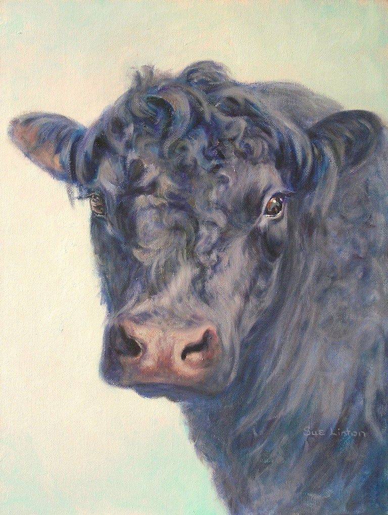 Latest commissions