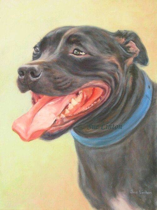 Latest commissions