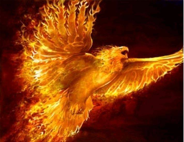 phoenix rising from the ashes