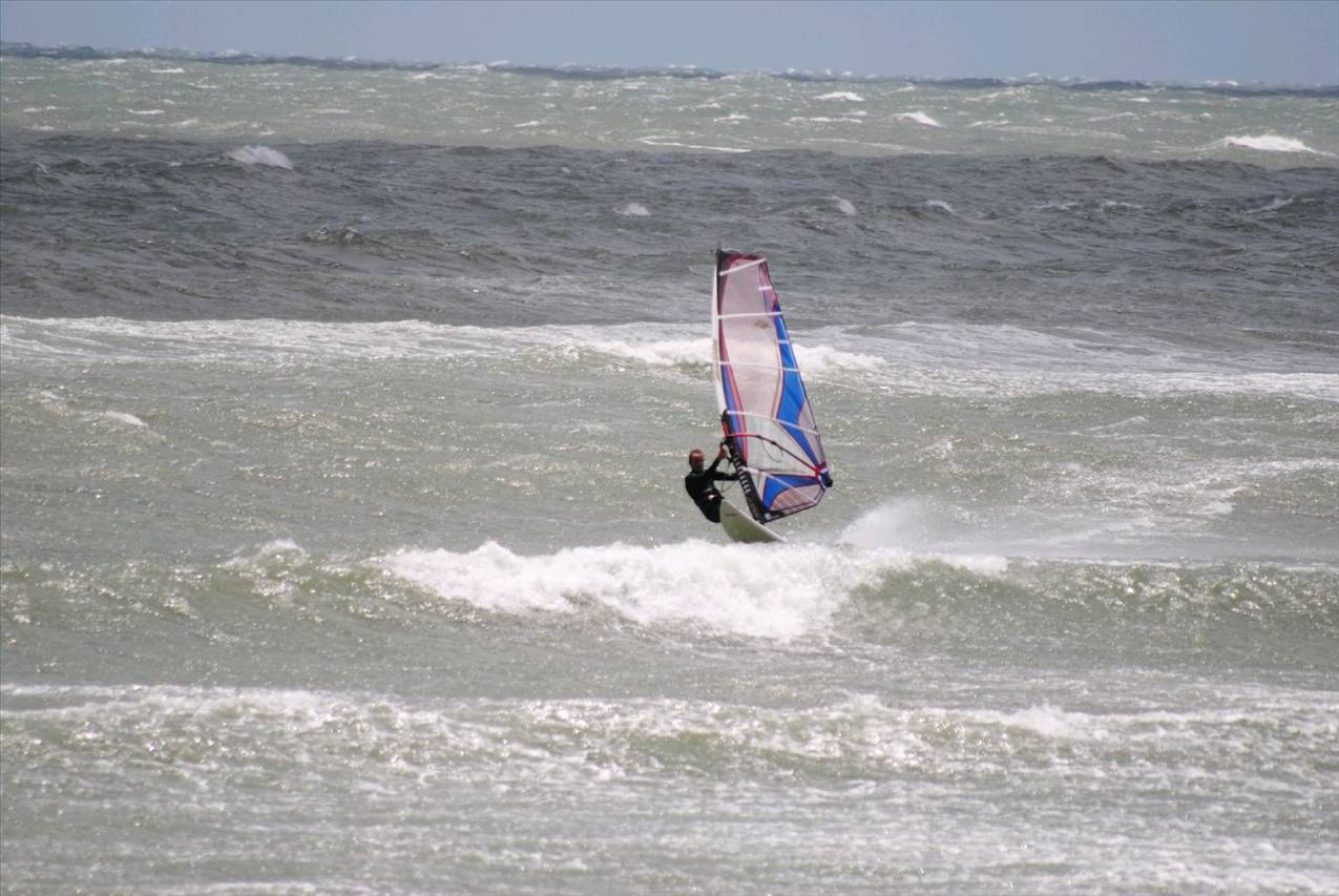 Seaclif SA 19/12/10