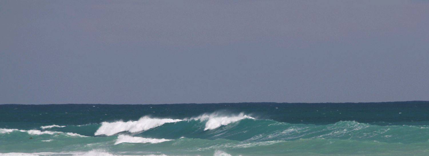 New Lefts