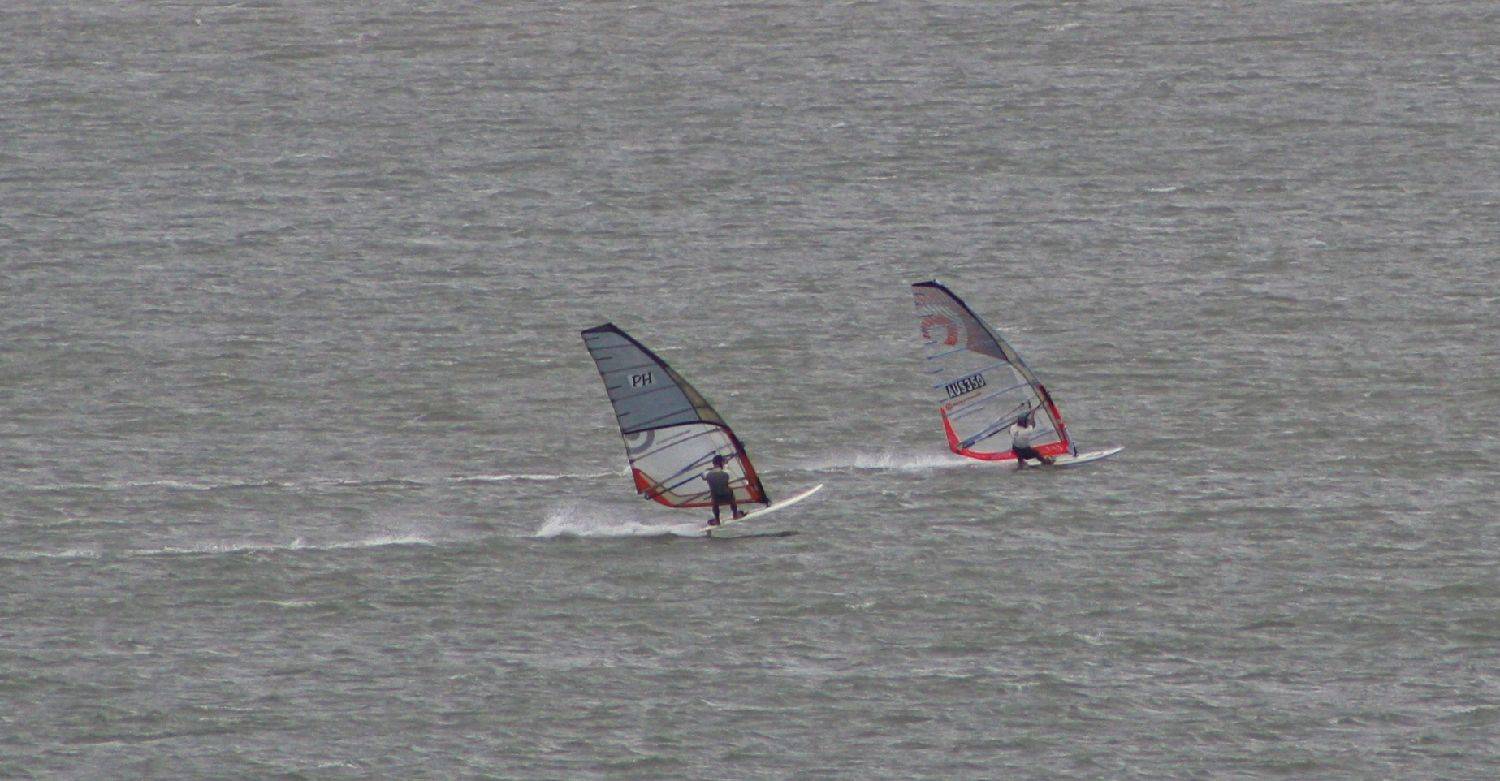 Moreton Bay Mob
