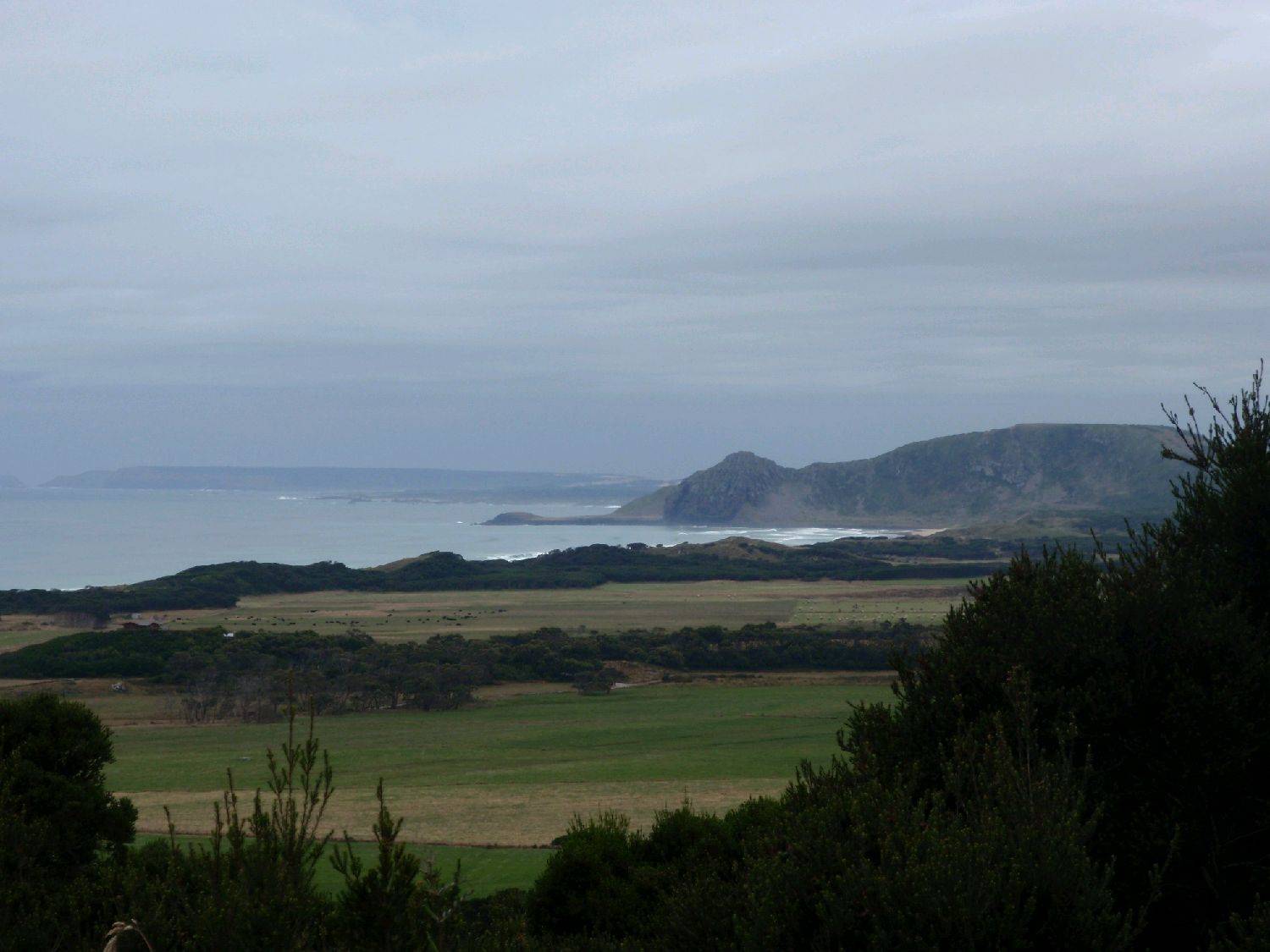 P1100106