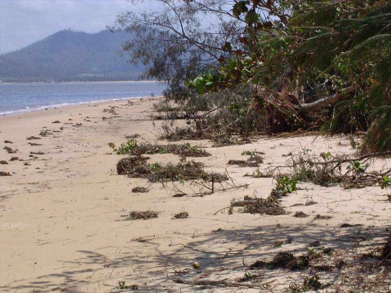 Sailing beach 2
