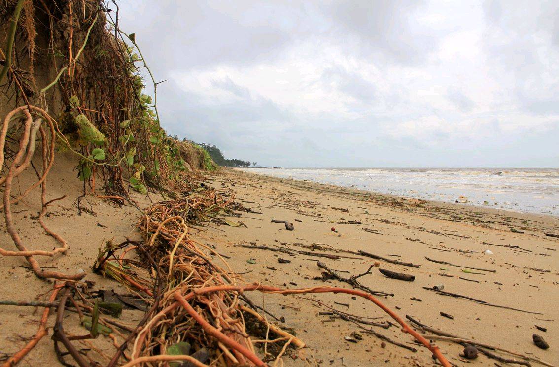 Cyclone Yasi