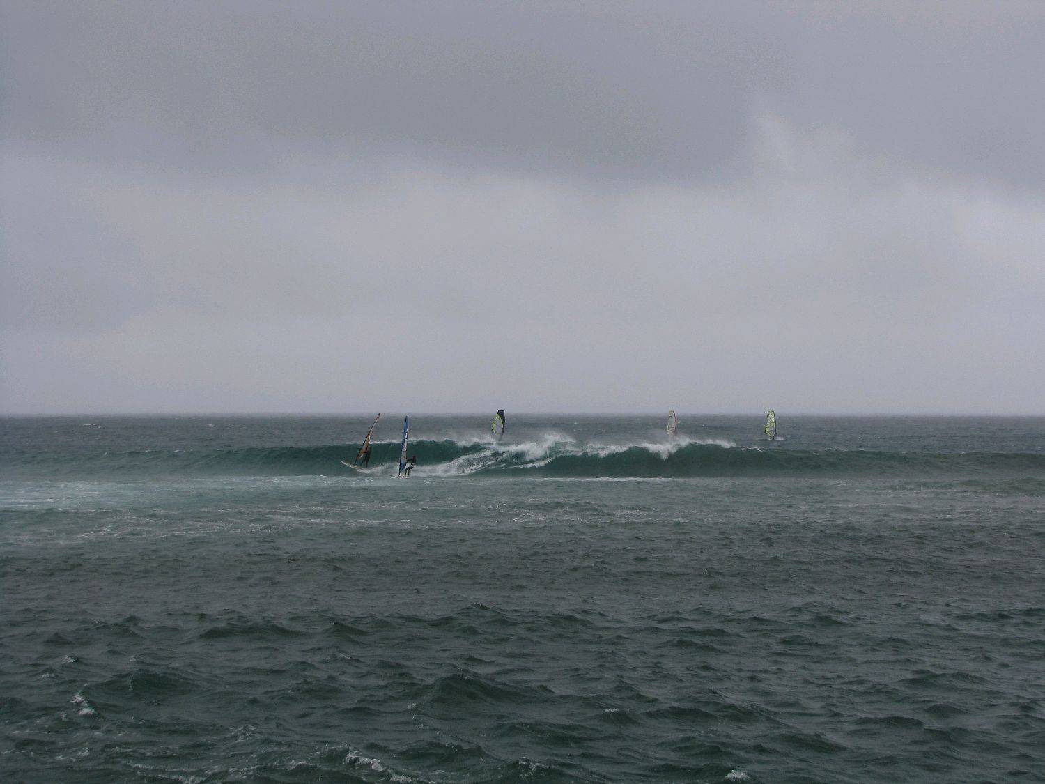 Windang 13-2-10 050