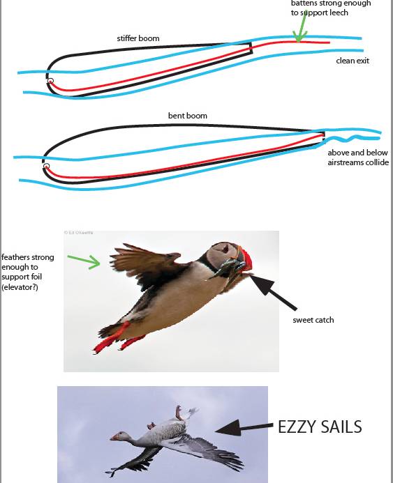 flyinghiggh