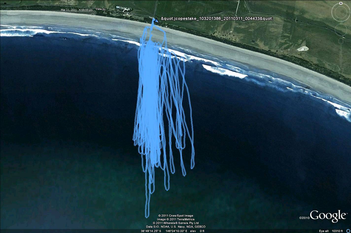 waratah bay