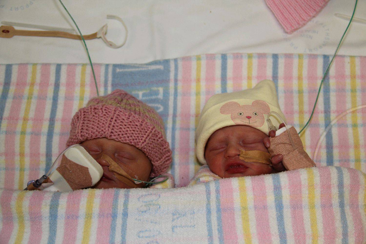 Elora Petrusa Rogan and Luisa Petrusa Rogan