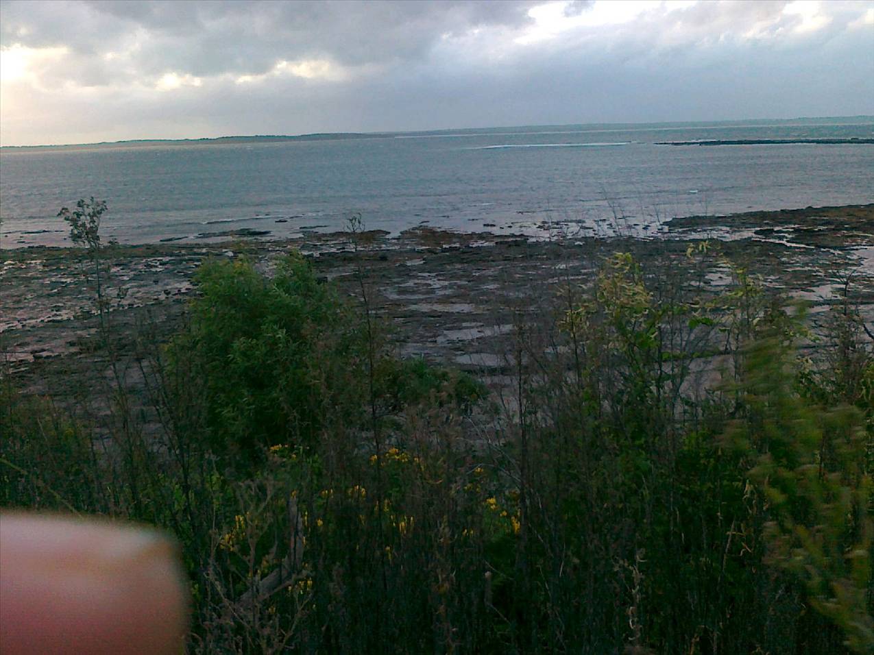 callala bay