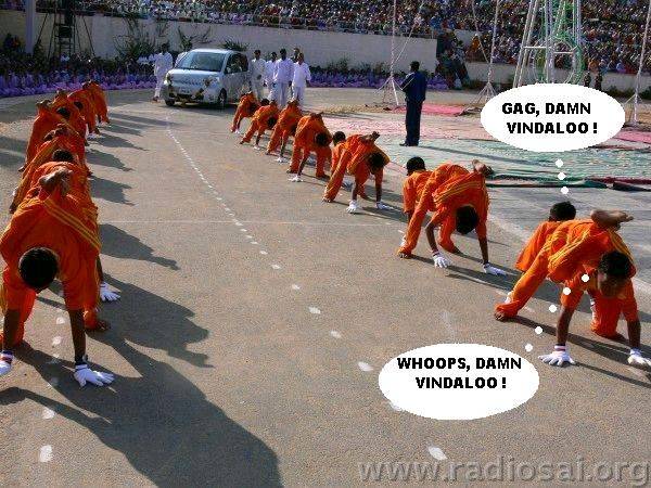 vindaloo