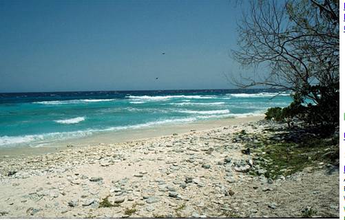 Lady Elliot Island