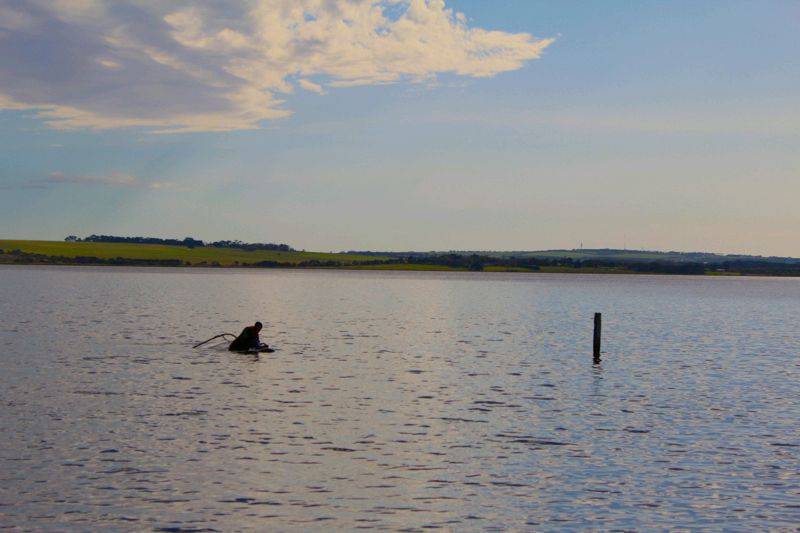 The Doug-ness monster