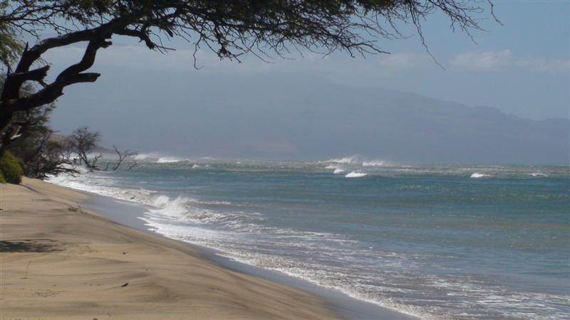 Maui 2011