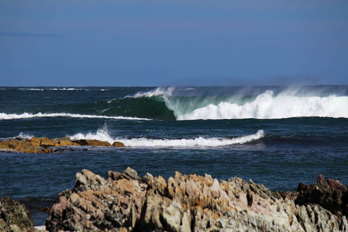 Two weeks in Tasmania, Feb