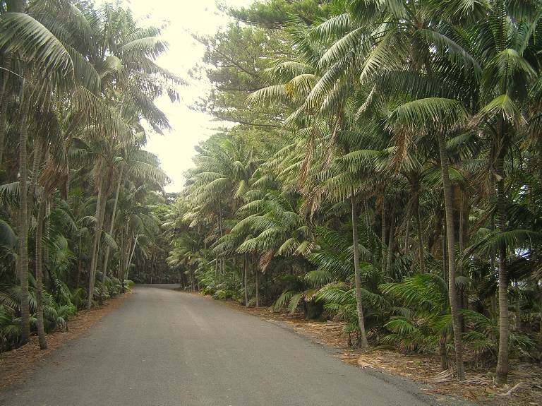 Lord Howe Island trip 2011