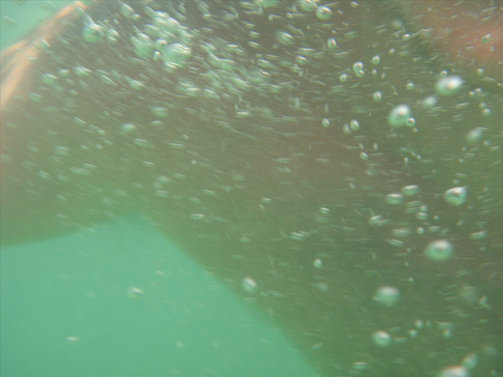 WA Trip 2010 038
