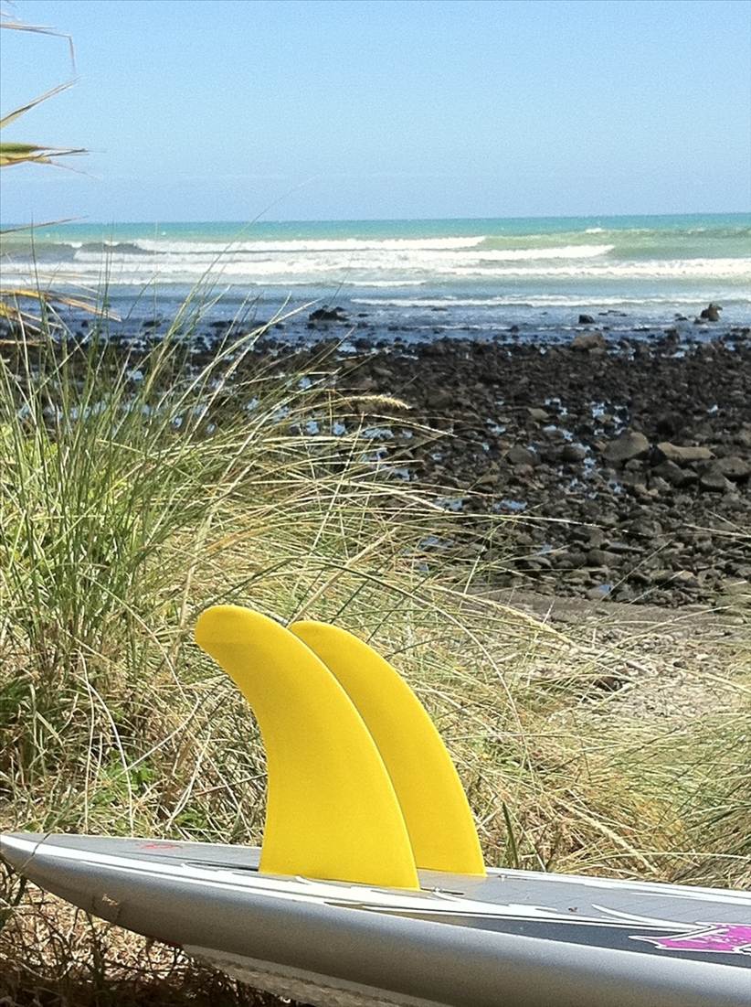 K4 Fins