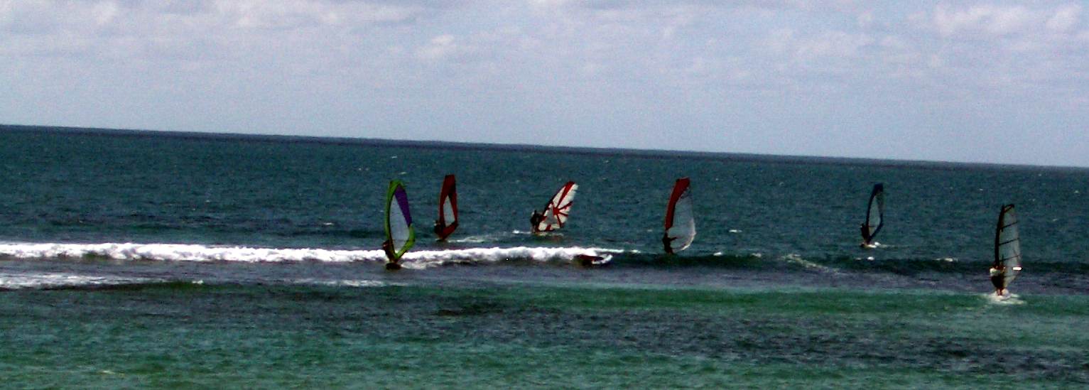 Avalon Amateurs