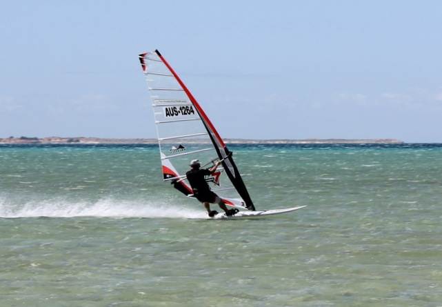 10628-crasher shark bay